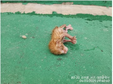 종료(자연사) 한국…